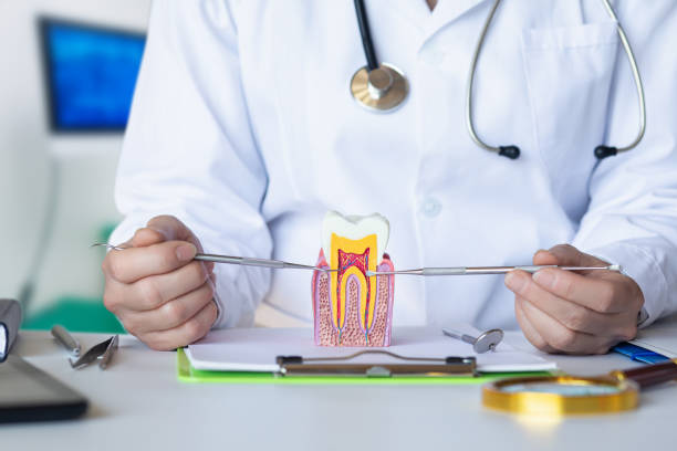 Best Urgent Dental Care for Toothache in Stevenson, WA